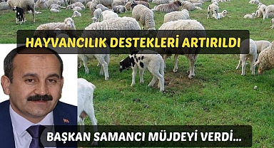 Başkan Samancı Müjdeyi verdi