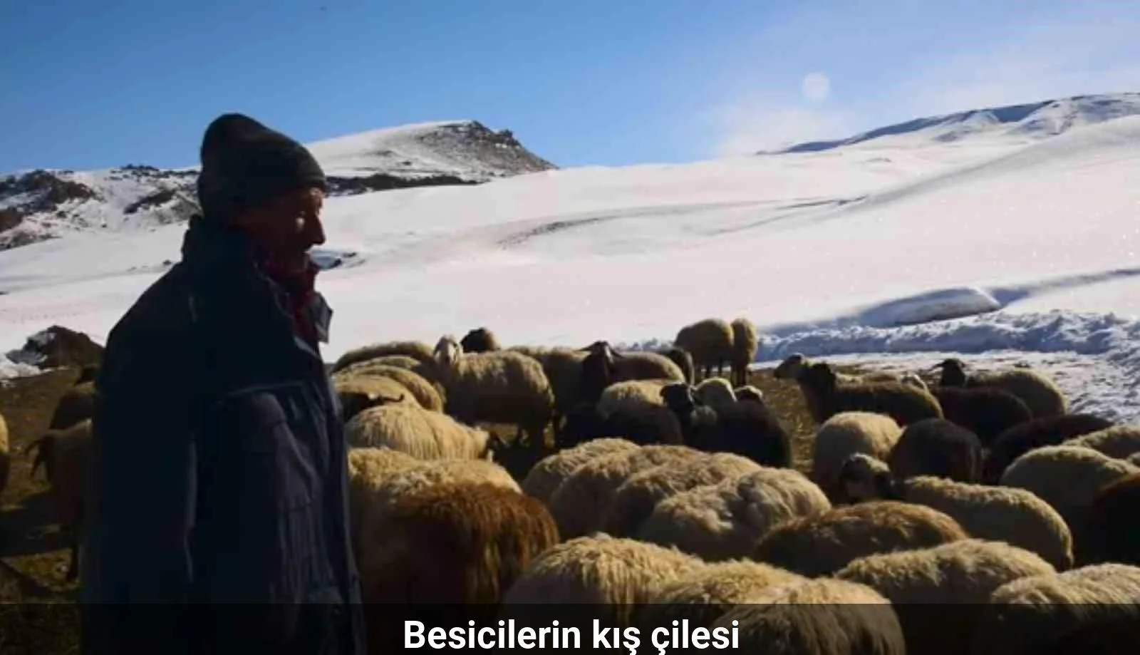 Besicilerin kış çilesi